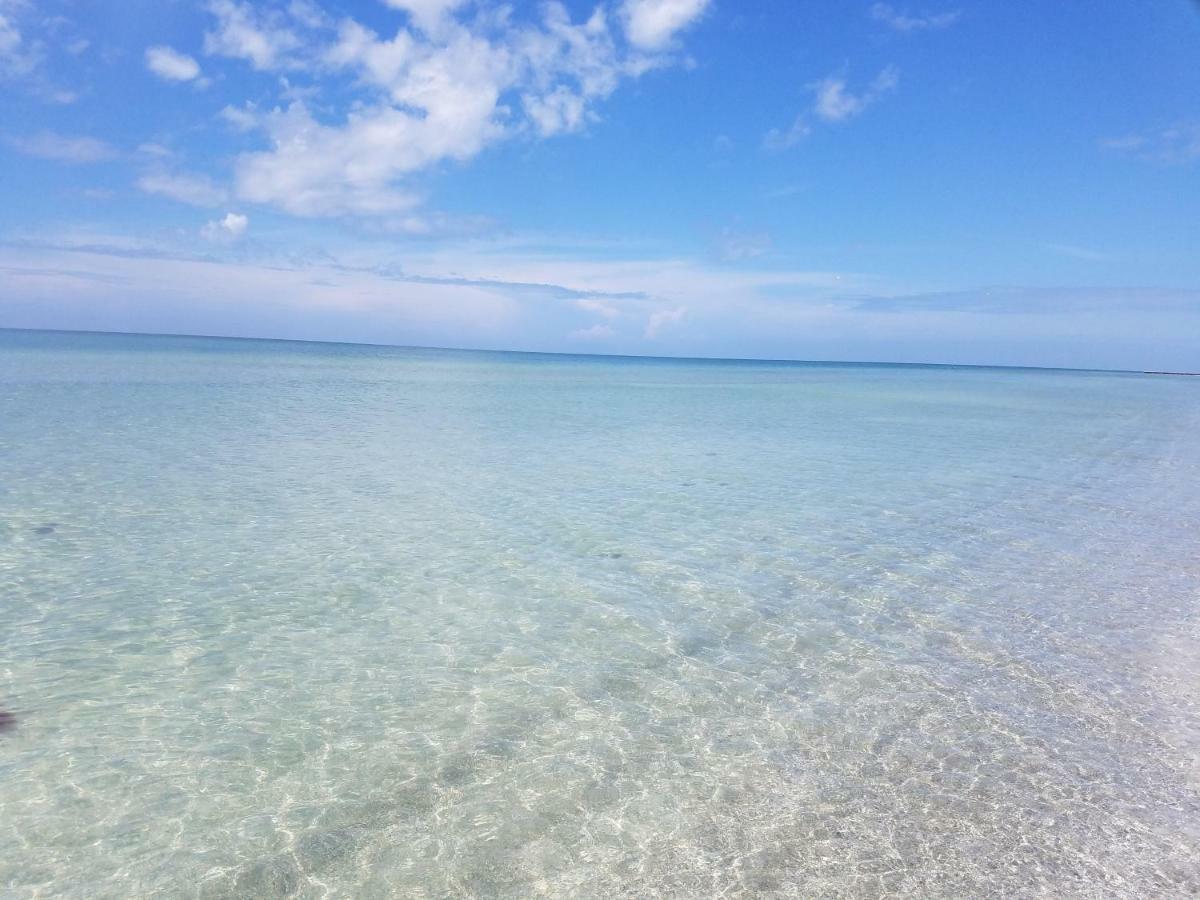 Amazing Panoramic Beach View And The Most Beautiful Sunset Longboat Key Ngoại thất bức ảnh